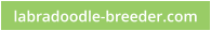 labradoodle-breeder.com