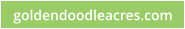 goldendoodleacres.com