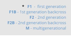 *   F1  -  first generation F1B - 1st generation backcross F2 - 2nd generation  F2B - 2nd generation backcross M - multigenerational