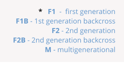 *   F1  -  first generation F1B - 1st generation backcross F2 - 2nd generation  F2B - 2nd generation backcross M - multigenerational